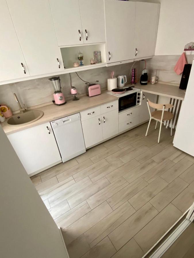 Crystal Rose - Center Apartment Skopje Bagian luar foto